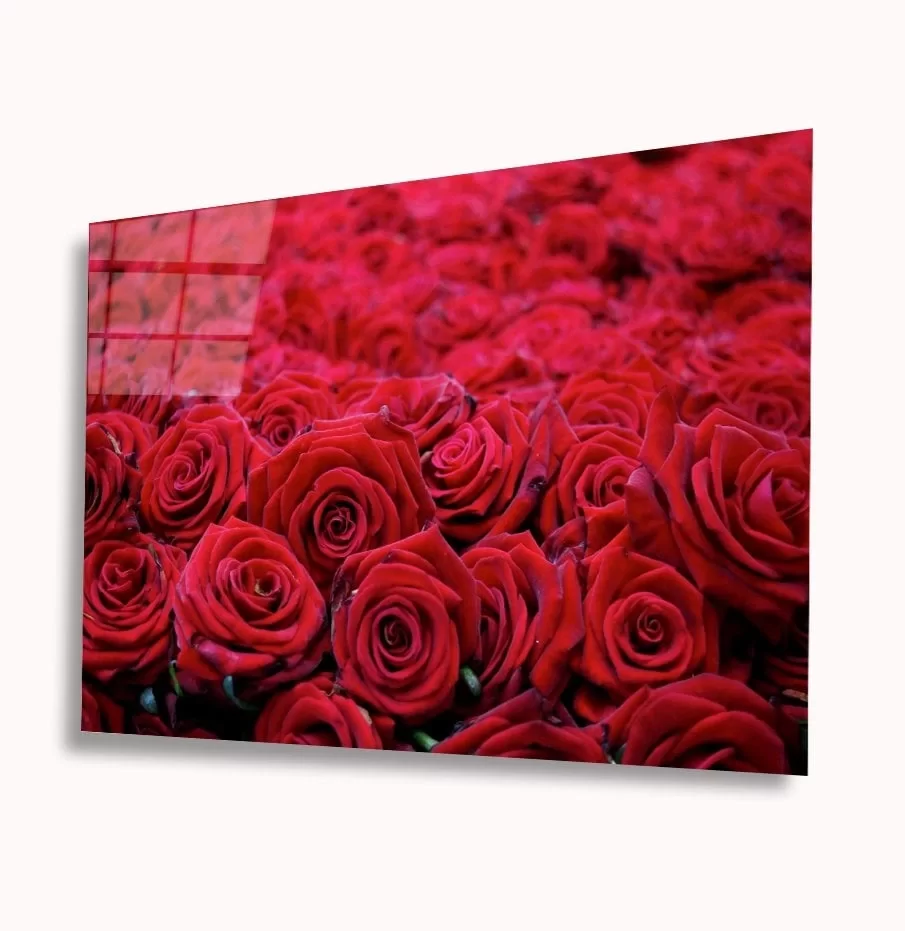 TEKNOO- Red Roses Glass Painting