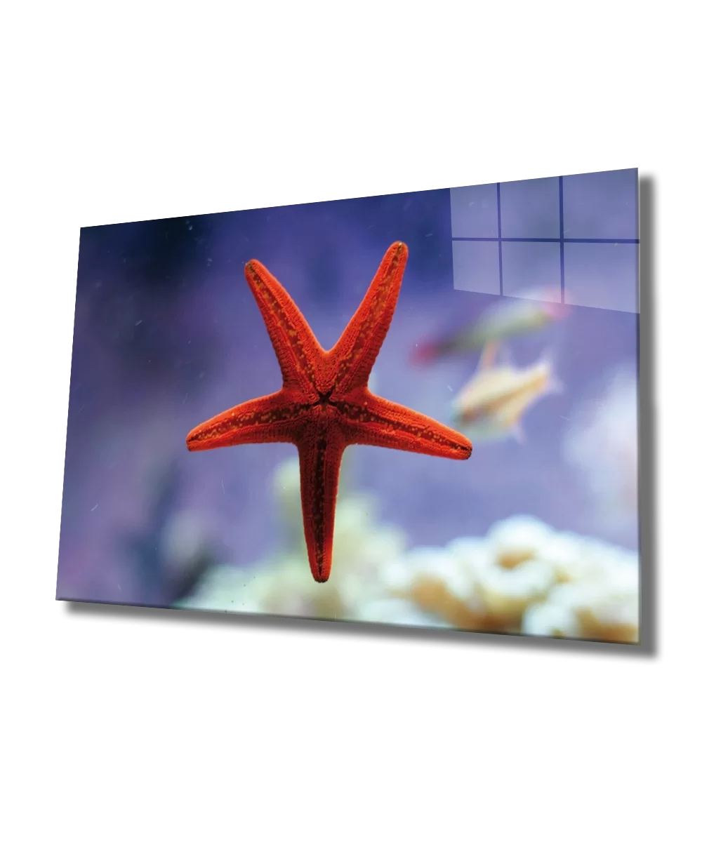 TEKNOO- Red Star Fish Glass Painting