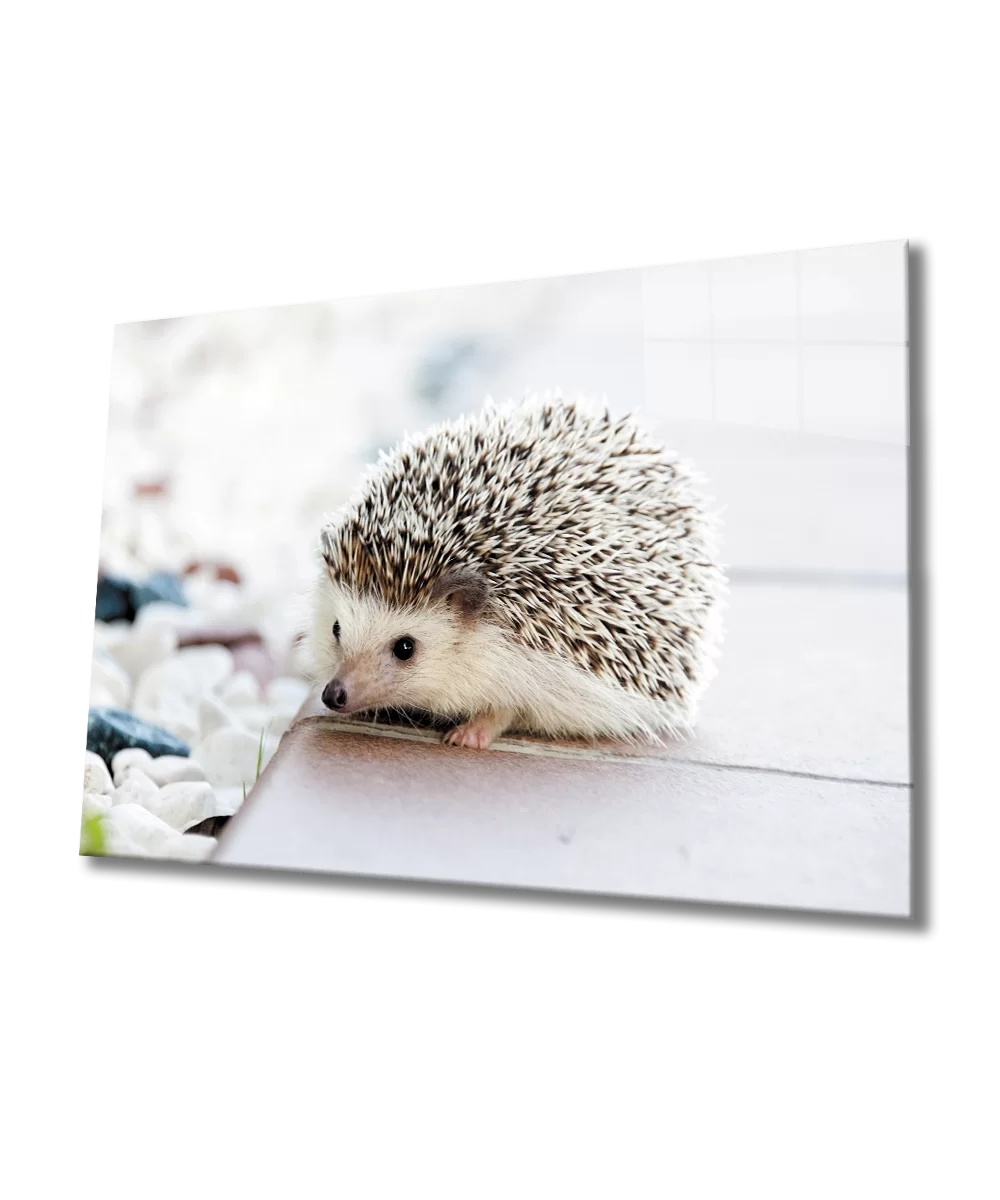 TEKNOO- Hedgehog Glass Painting