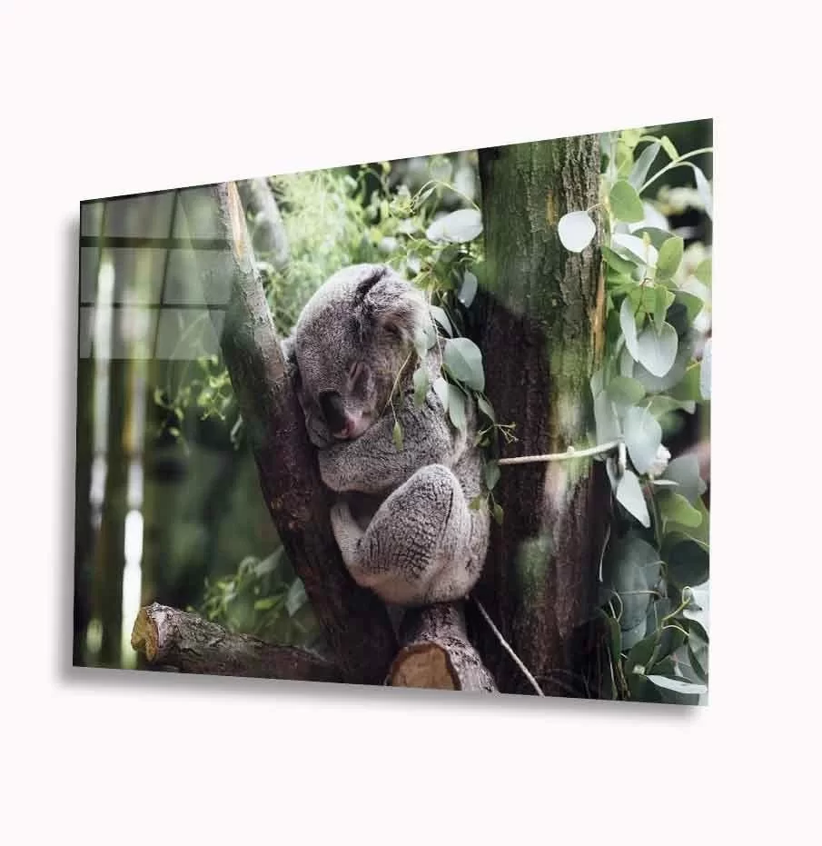 TEKNOO- Koala Glass Painting