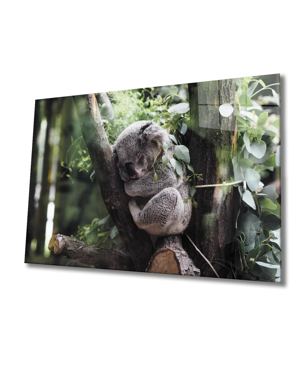 TEKNOO- Koala Glass Painting