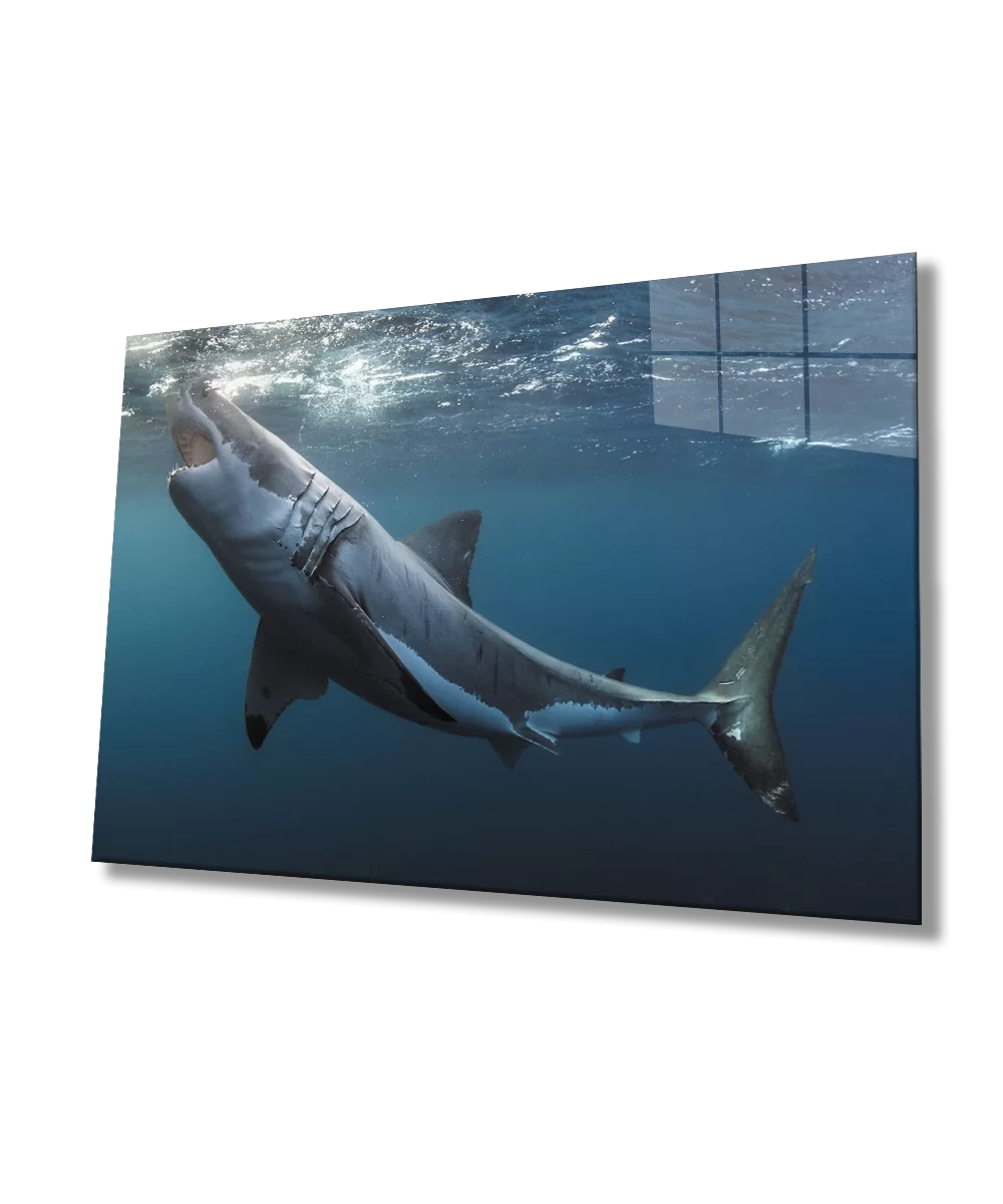 TEKNOO- Shark Underwater Glass Painting