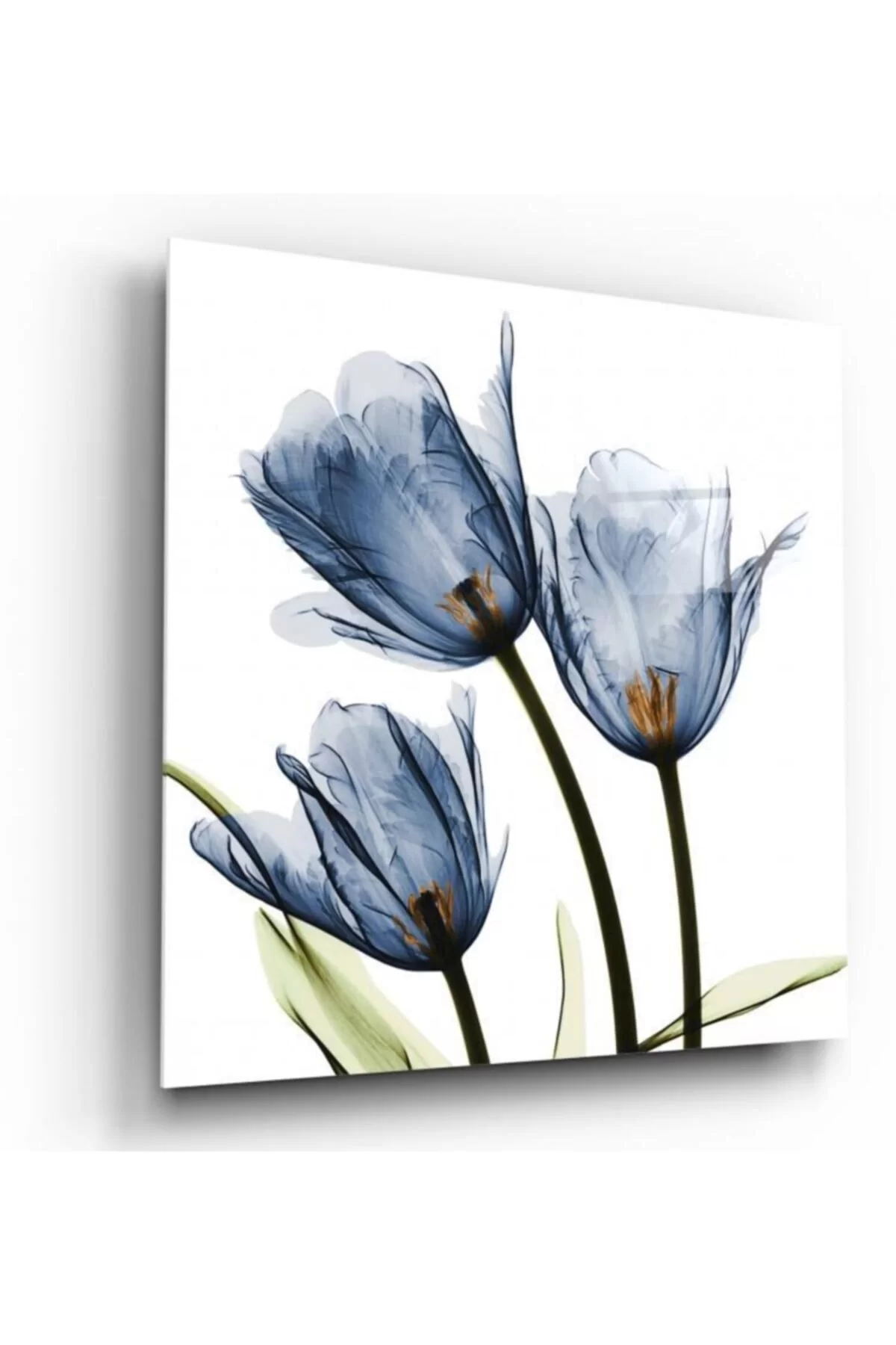 TEKNOO- Tulip Glass Painting