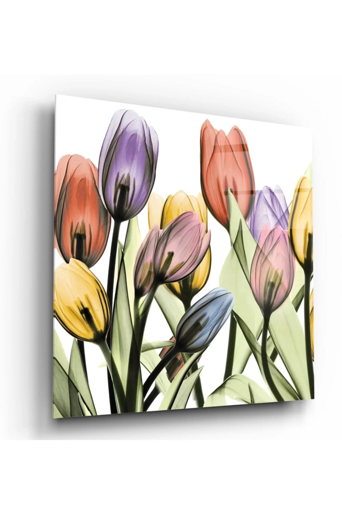 TEKNOO- Tulip Glass Painting