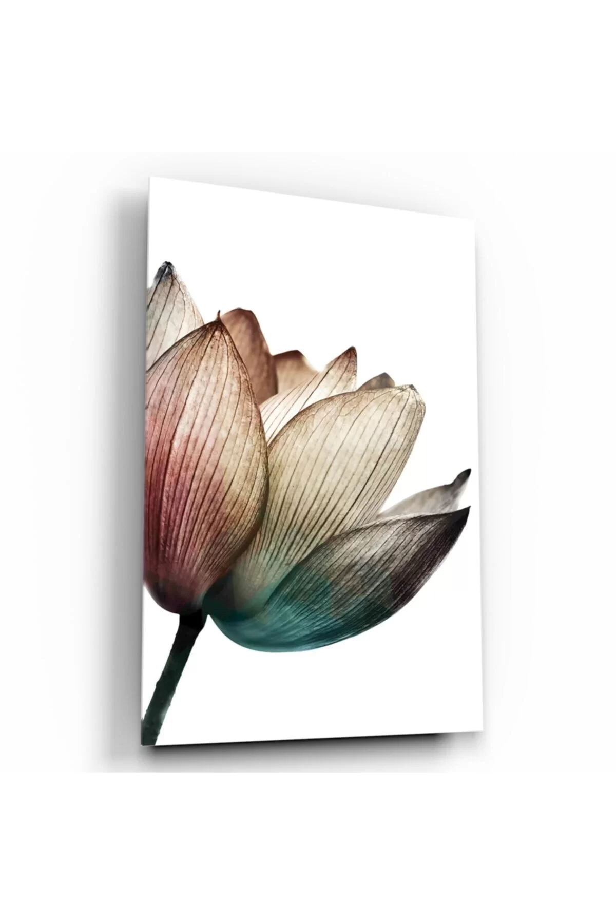 TEKNOO- Tulip Glass Painting