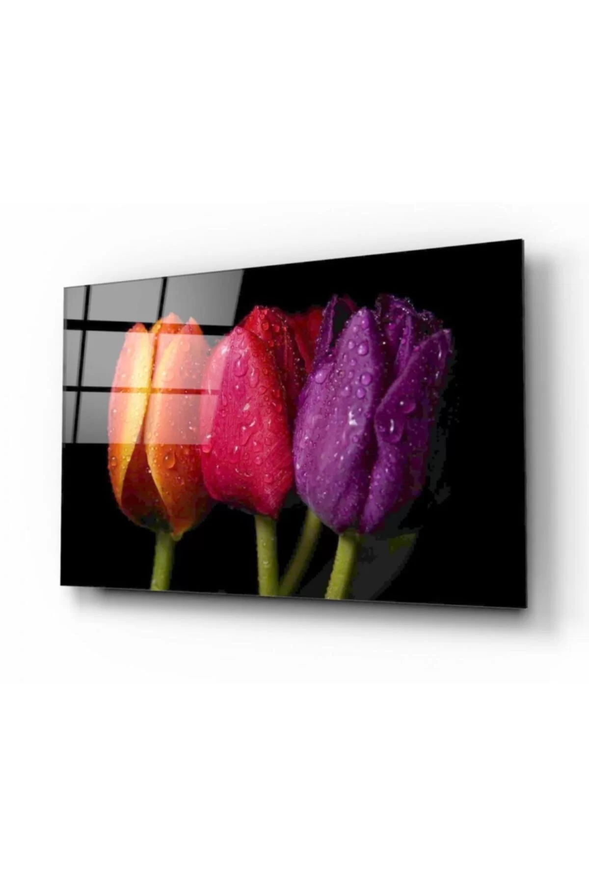 TEKNOO- Tulips Glass Painting