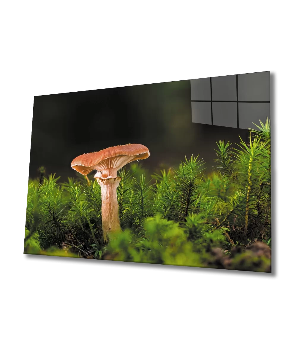 TEKNOO- Mushroom Glass Painting