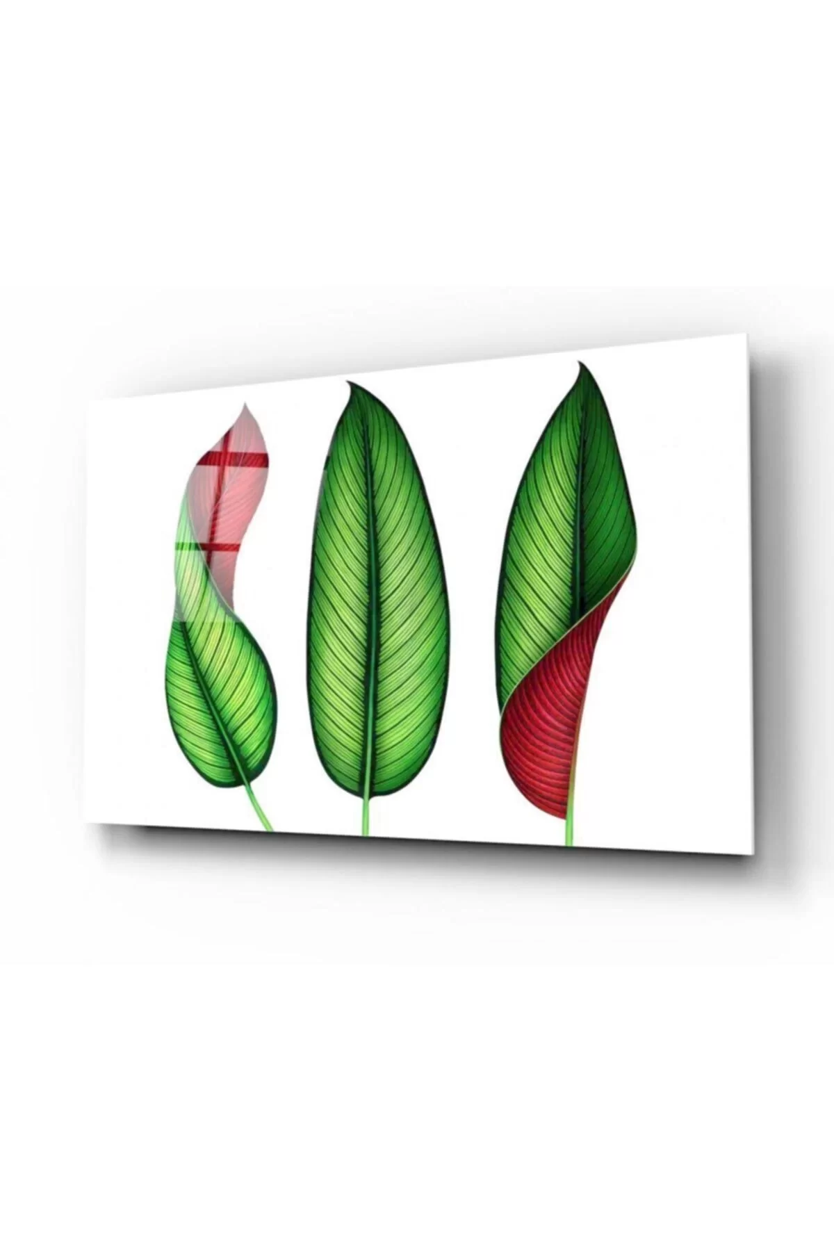 TEKNOO- Minimal Leaves Glass Painting