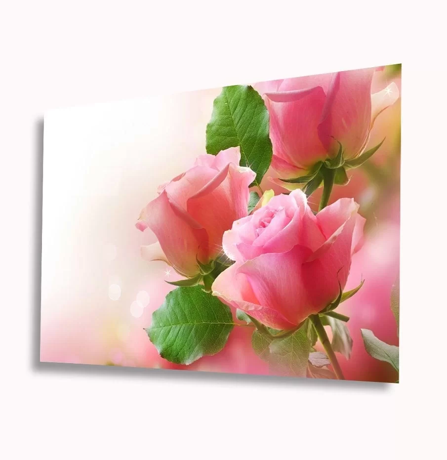 TEKNOO- Pink Roses Glass Painting