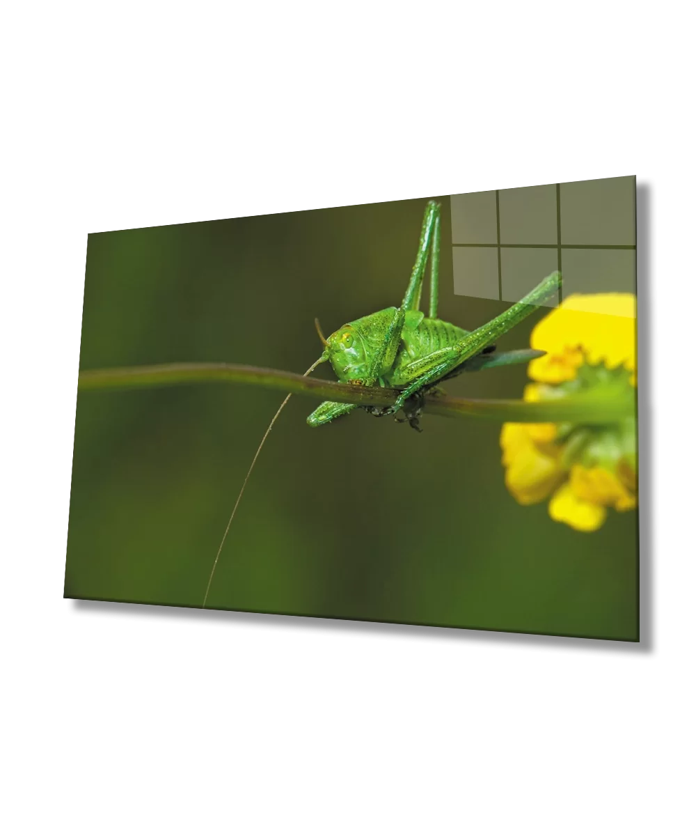 TEKNOO- Yellow Flower Green Grasshopper Glass Painting