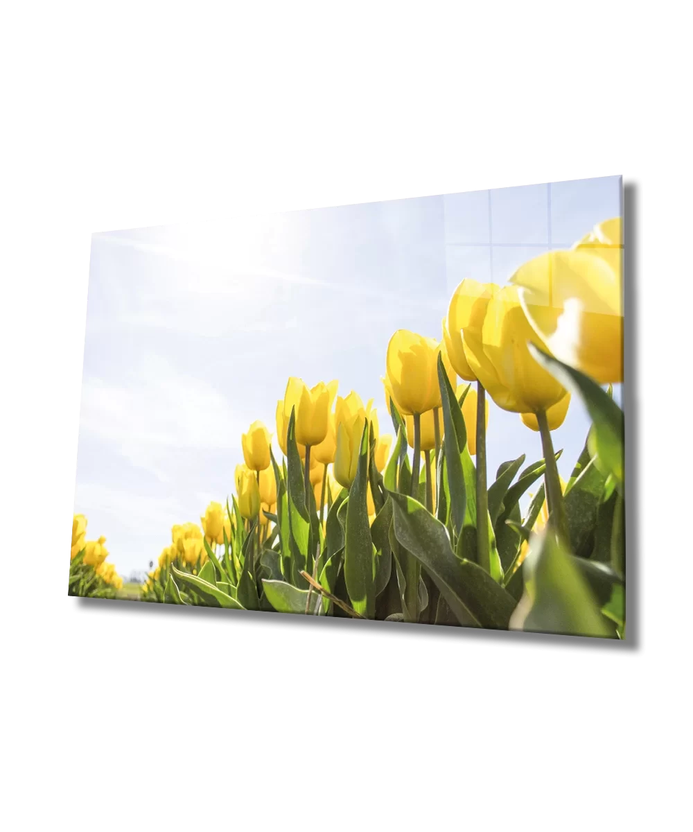 TEKNOO- Yellow Tulip Glass Painting Yellow Flowers