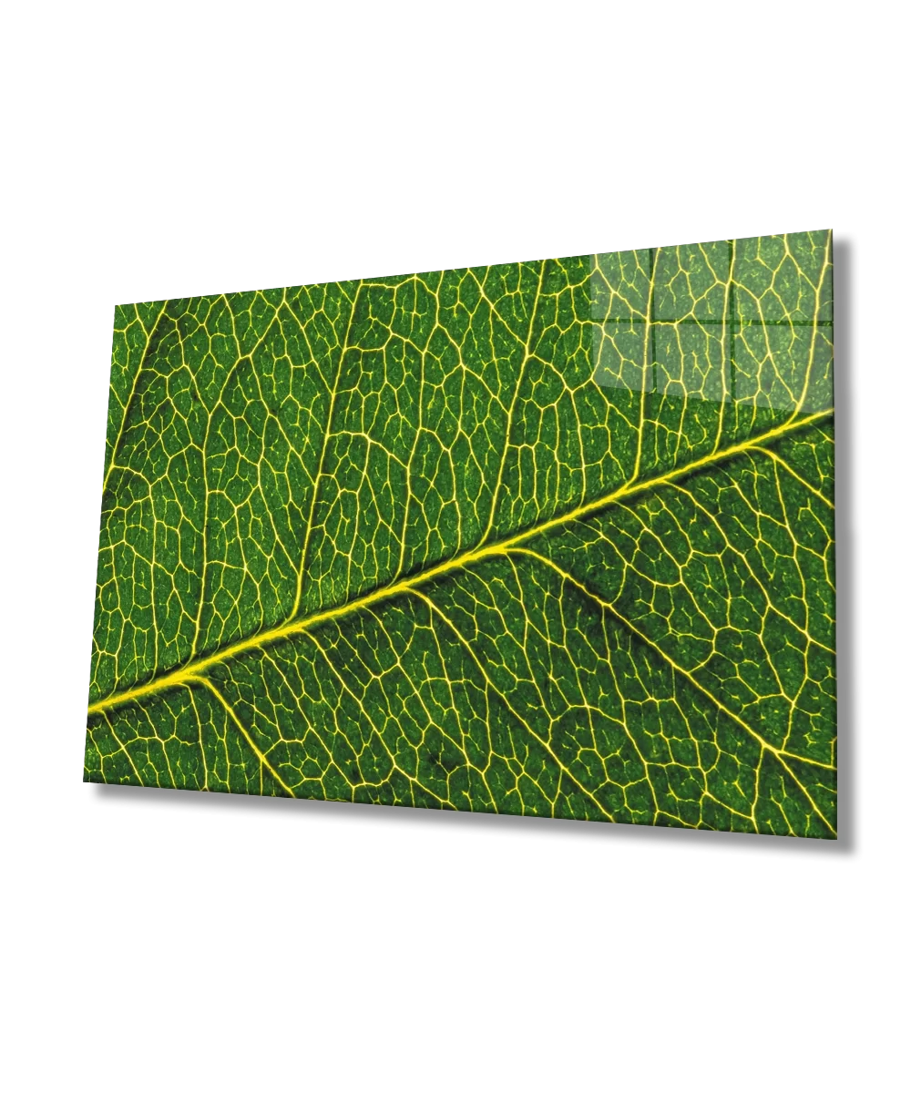 TEKNOO- Yellow Green Leaf Glass Painting Yellow Green Leaf