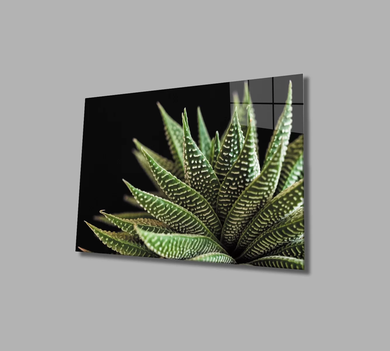 TEKNOO- Black Background Aloe Vera Flower Glass Painting