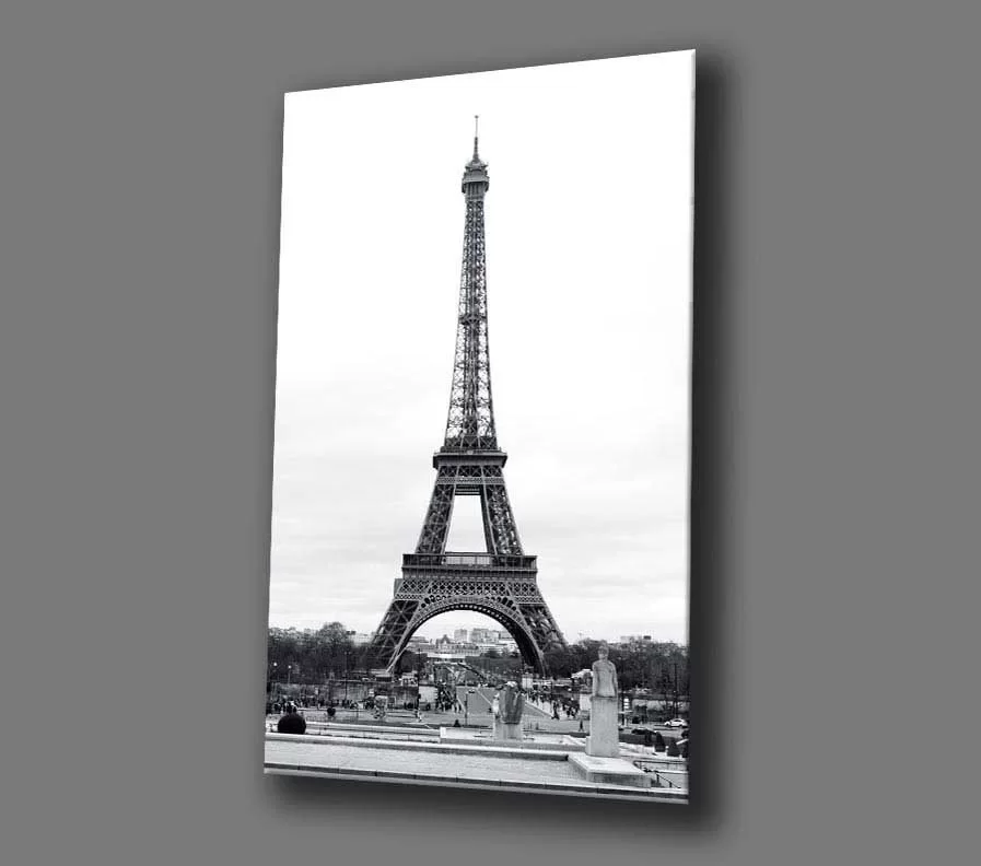 TEKNOO- Black and White Eiffel Tower Painting