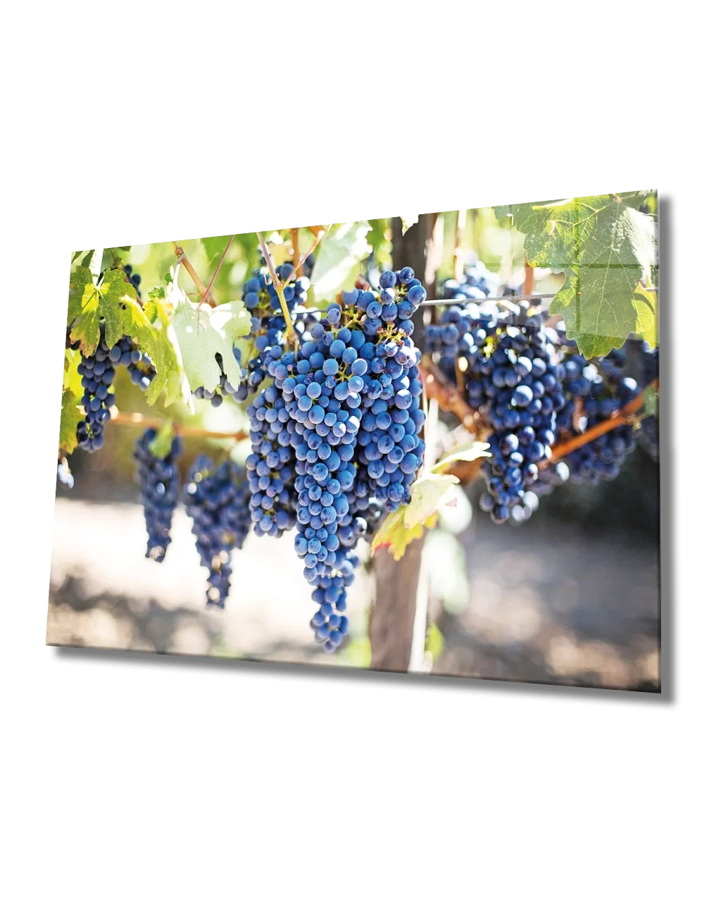 TEKNOO- Black Grape Glass Painting Grape Art