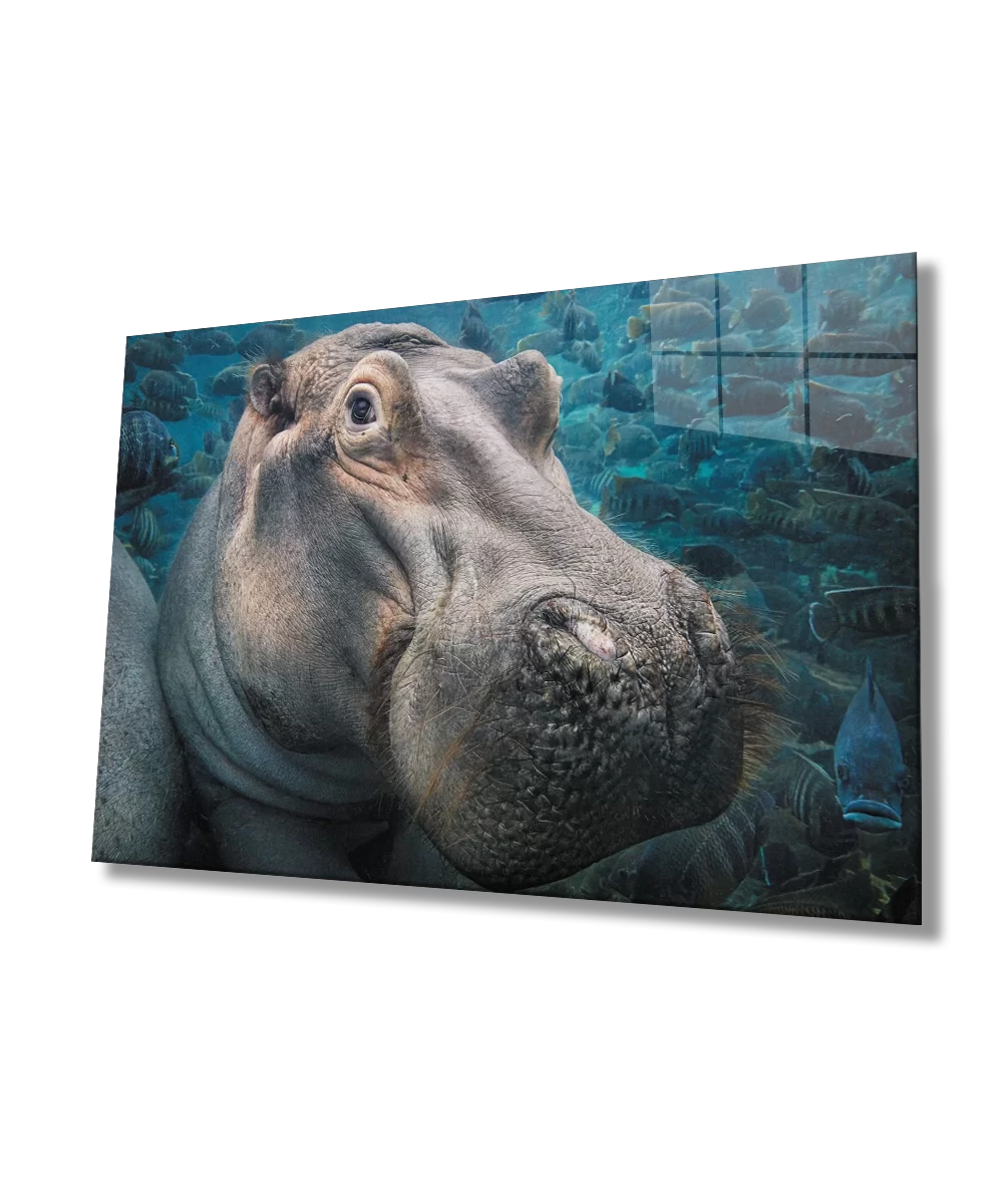 TEKNOO- Hippopotamus Underwater Glass Painting