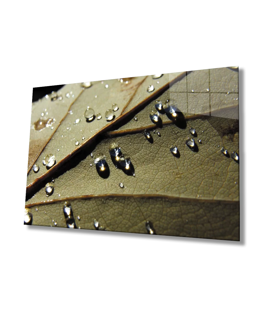 TEKNOO- Water Drops Leaf Glass Painting