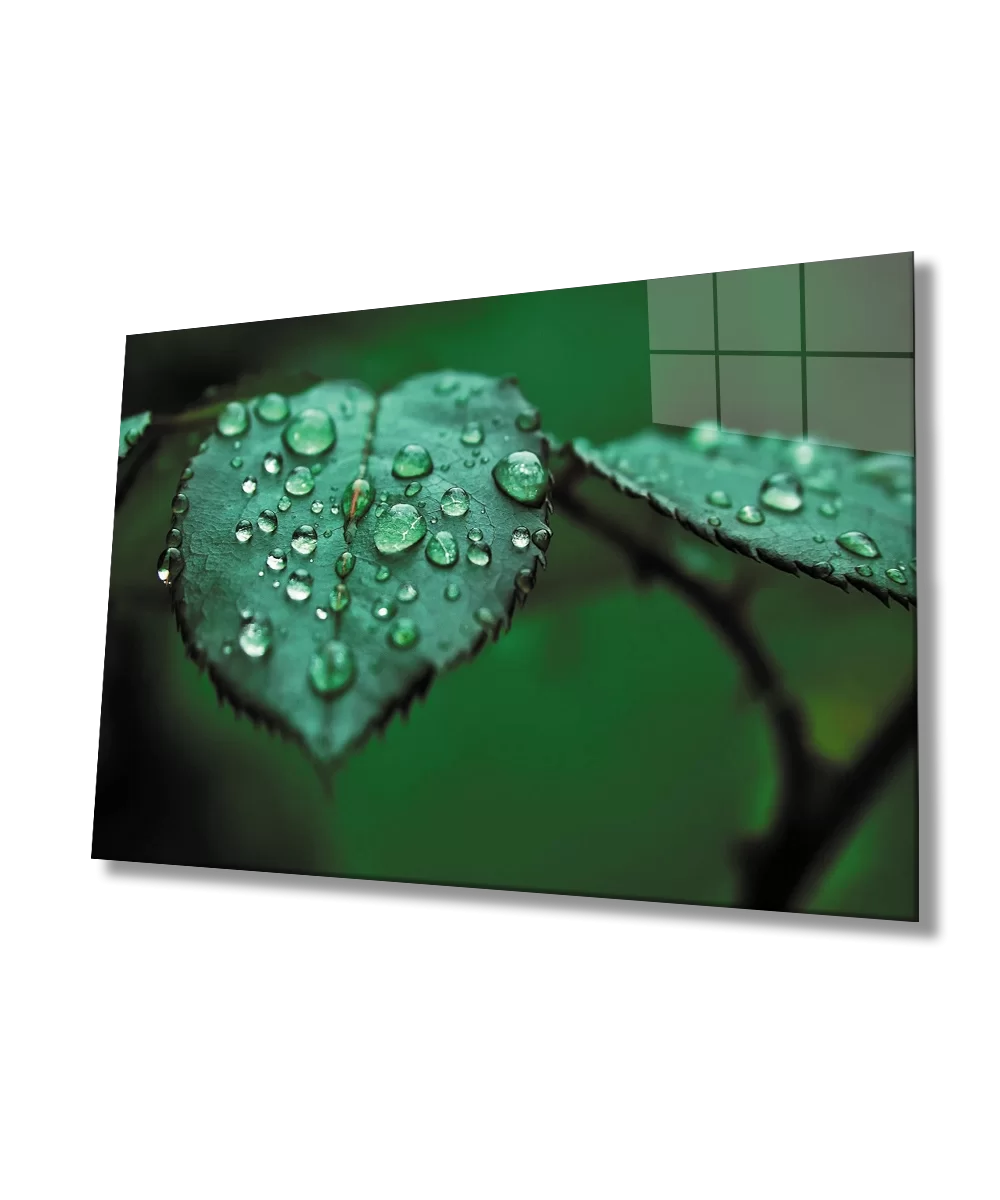 TEKNOO- Water Drops Leaf Green Glass Painting