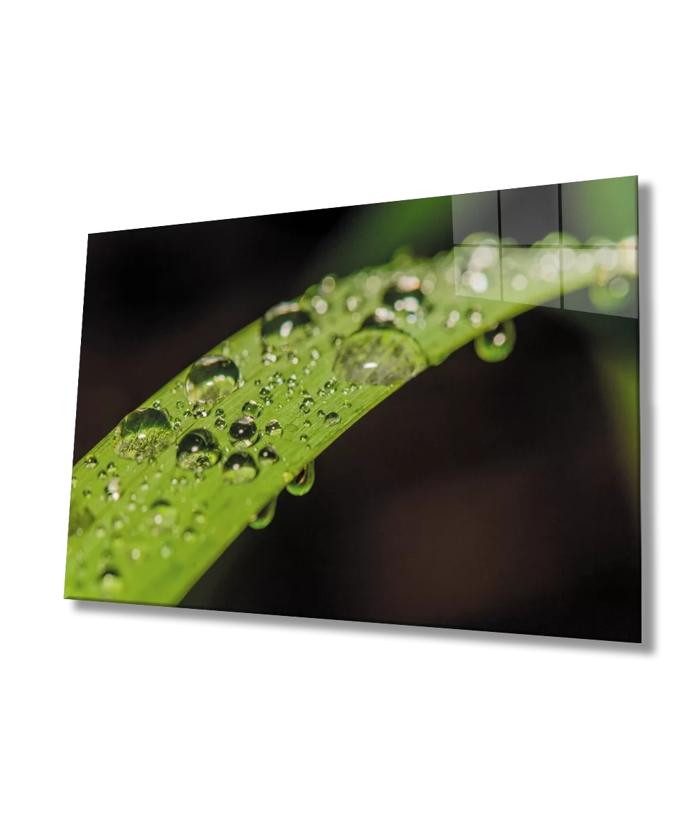 TEKNOO- Water Drops Green Leaf Glass Painting