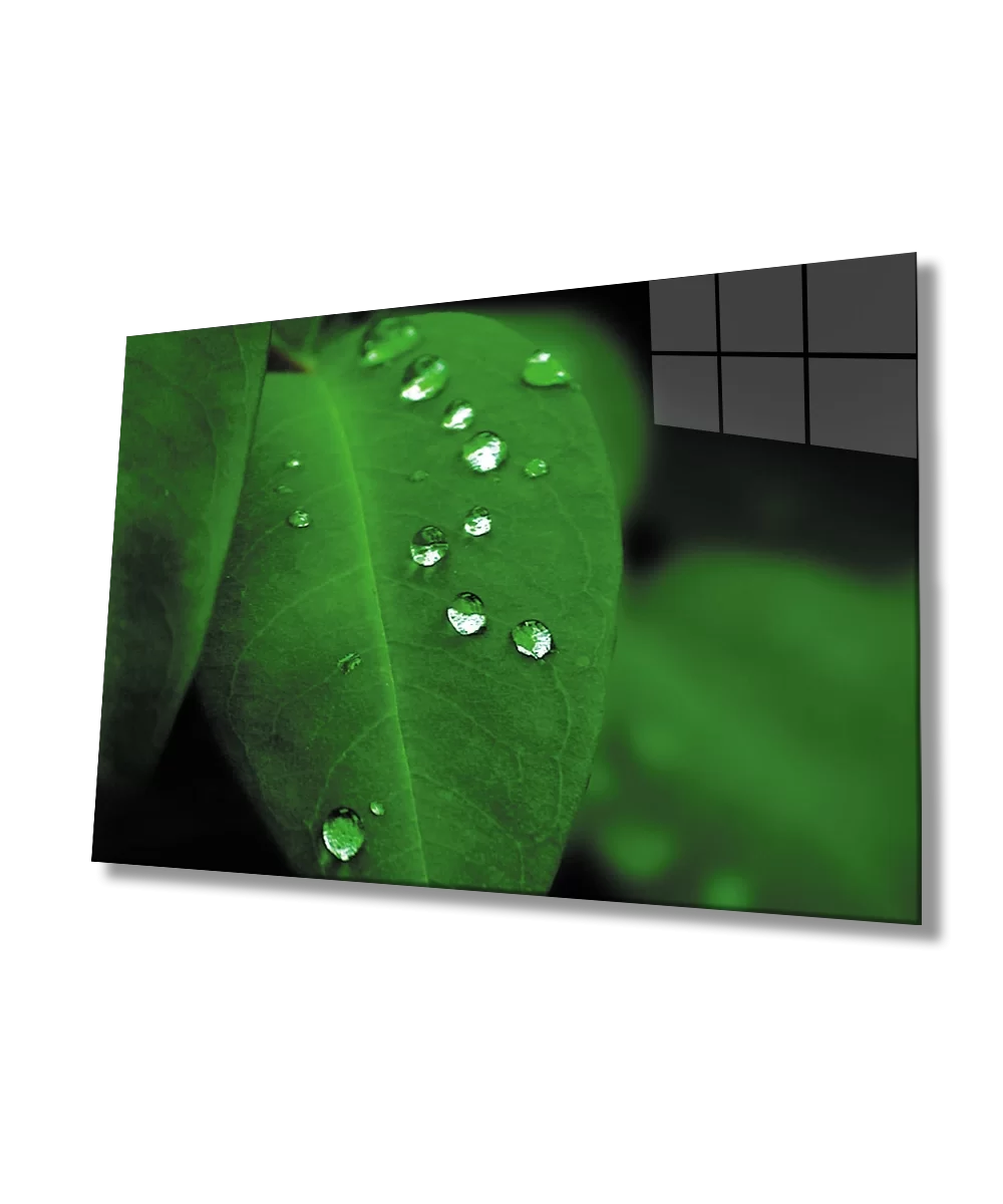 TEKNOO- Water Drops Green Leaf Glass Painting