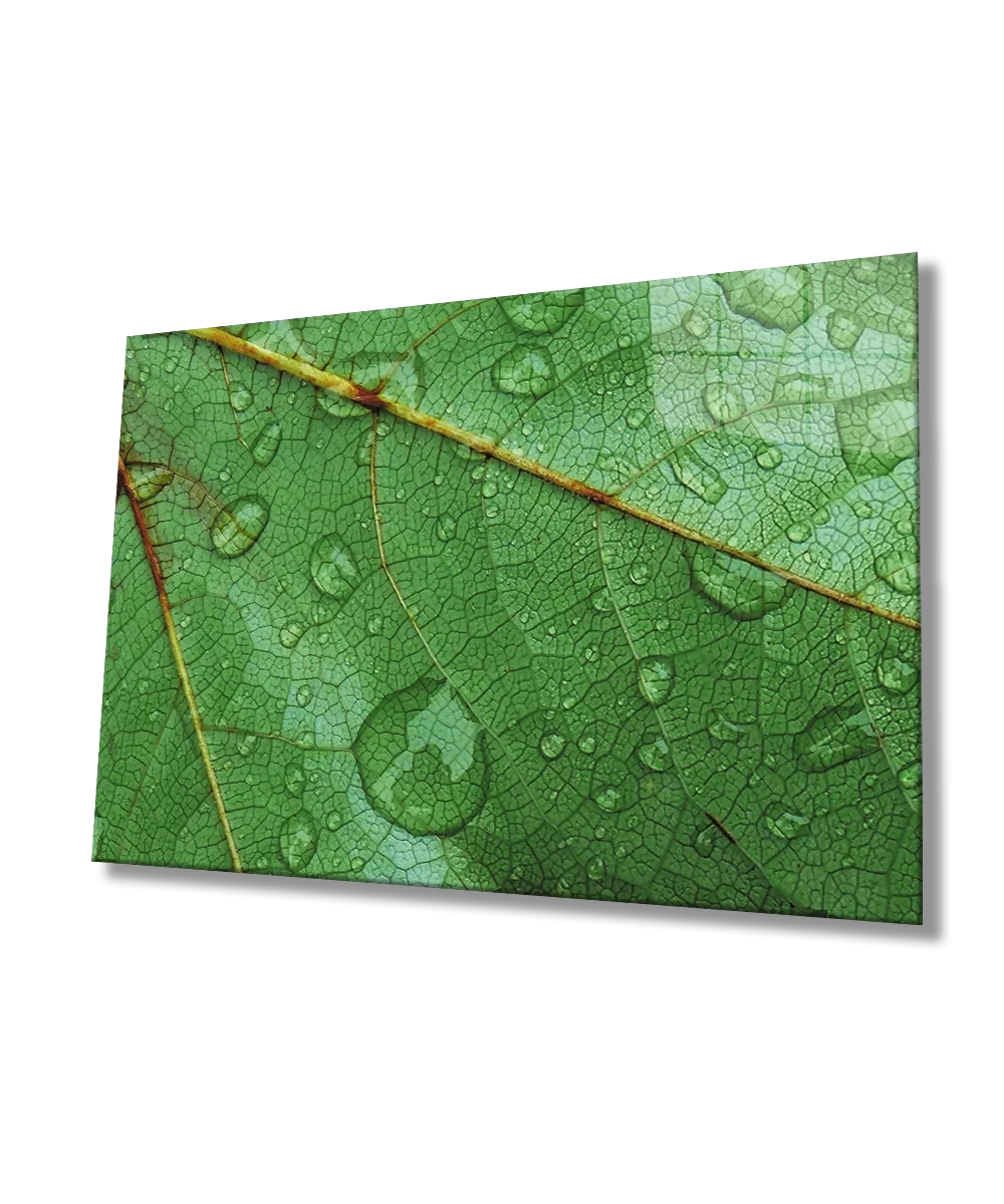 TEKNOO- Water Drop Leaf Green Glass Painting