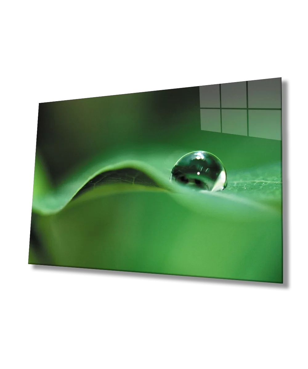 TEKNOO- Water Drop Green Leaf Glass Painting