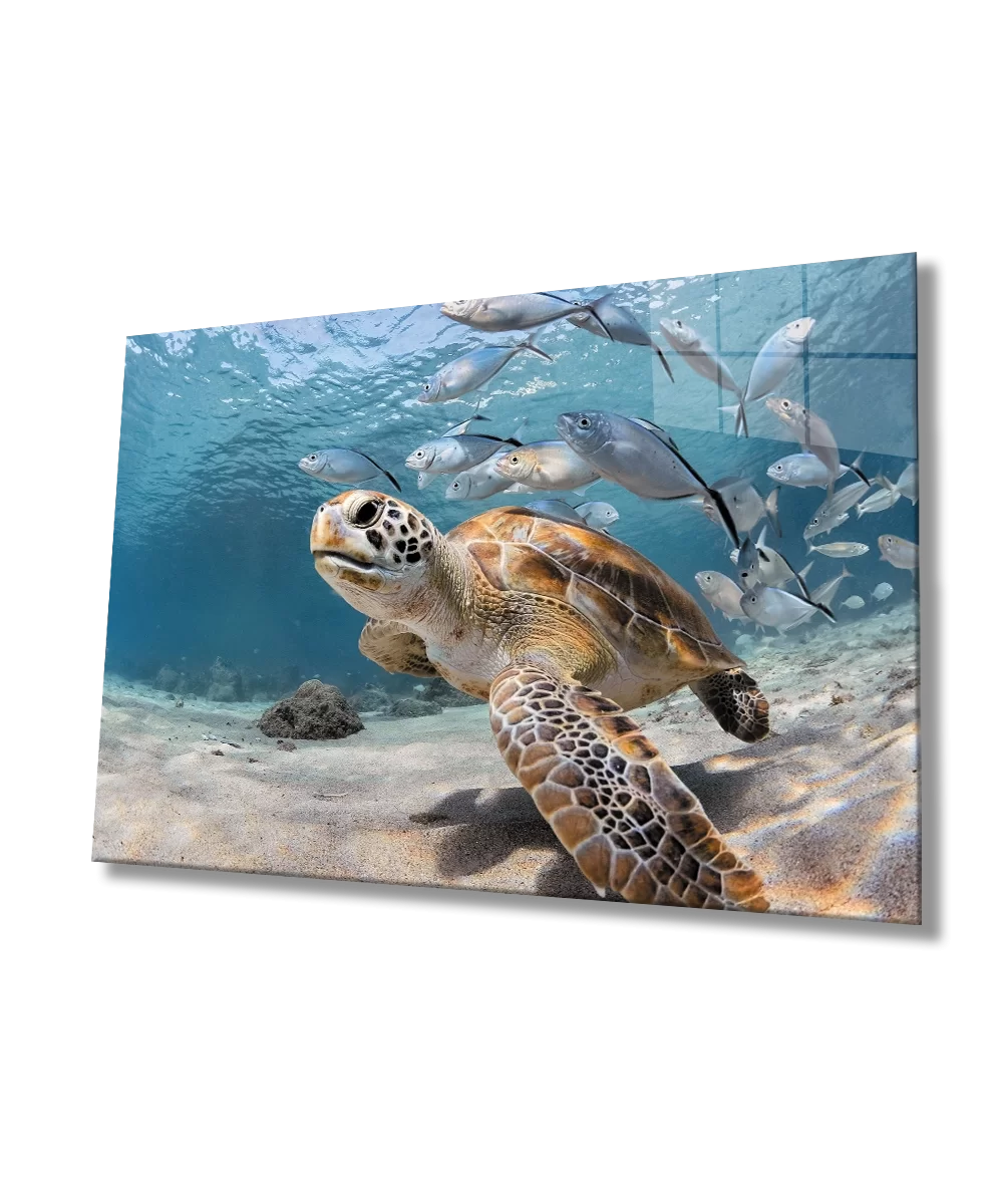 TEKNOO- Water Turtle Fish Underwater Glass Painting