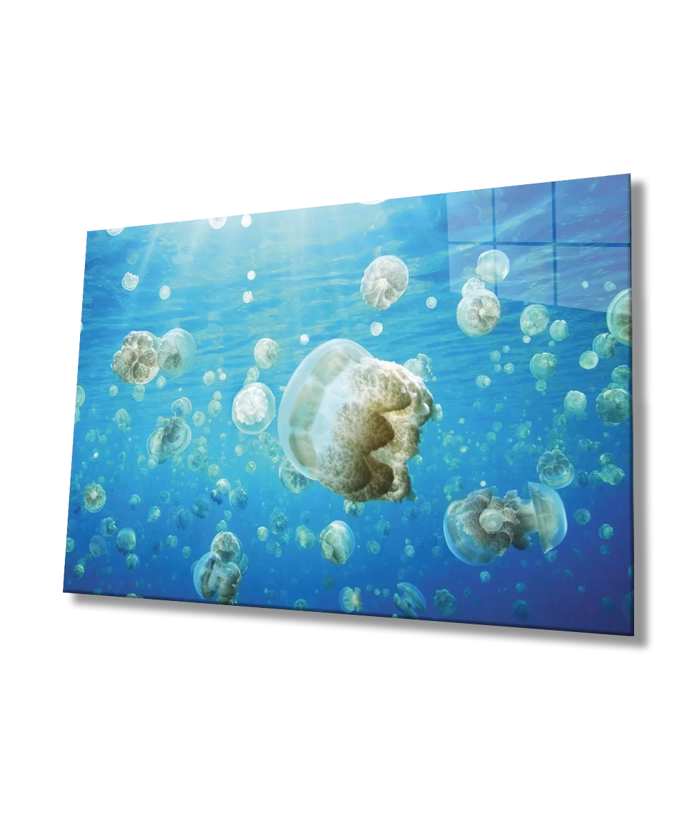 TEKNOO- Underwater Glass Painting