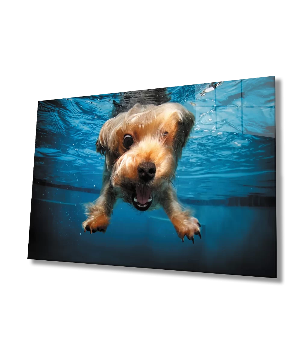 TEKNOO- Underwater Dog Glass Painting