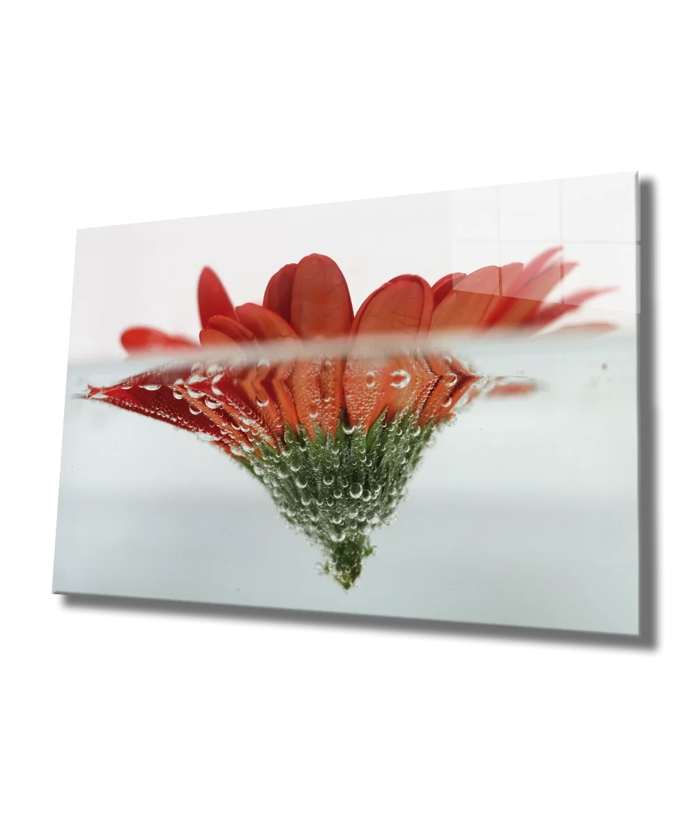 TEKNOO- Red Flower in Water Glass Painting Red Flower