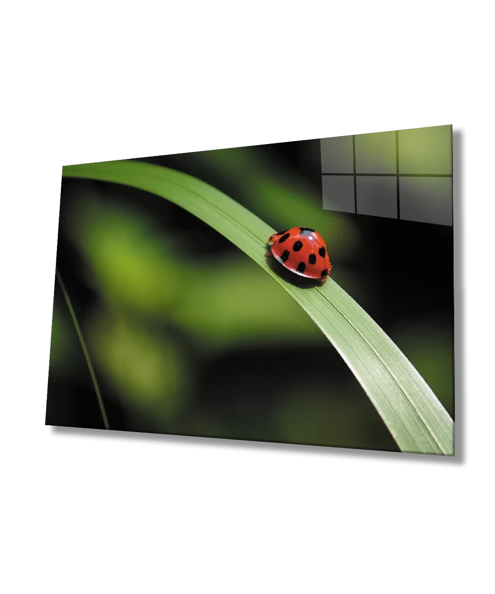 TEKNOO- Ladybug Green Leaf Glass Painting