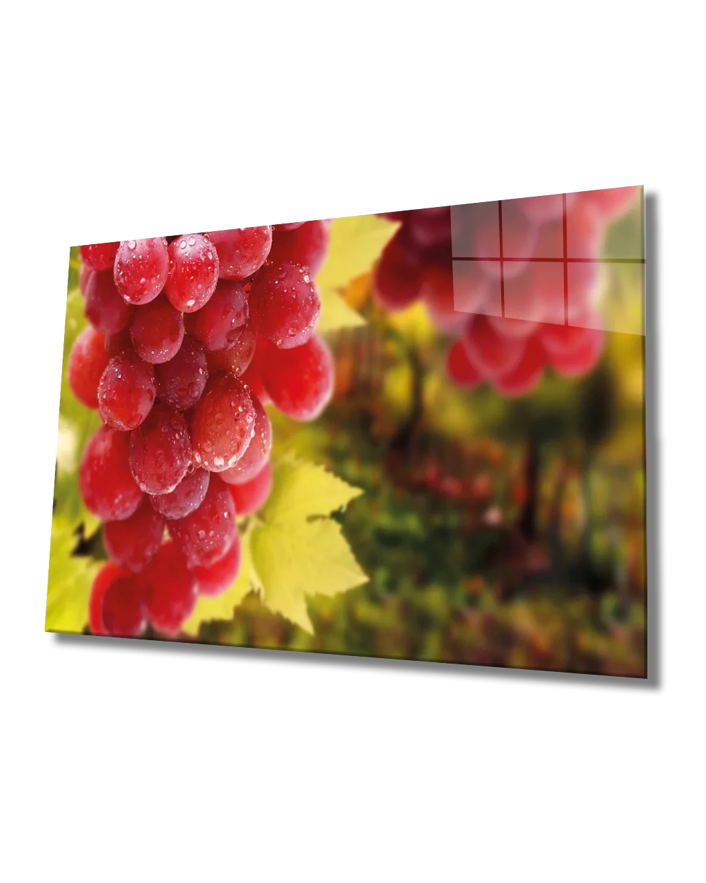 TEKNOO- Grape Fruit Glass Painting Grape Art