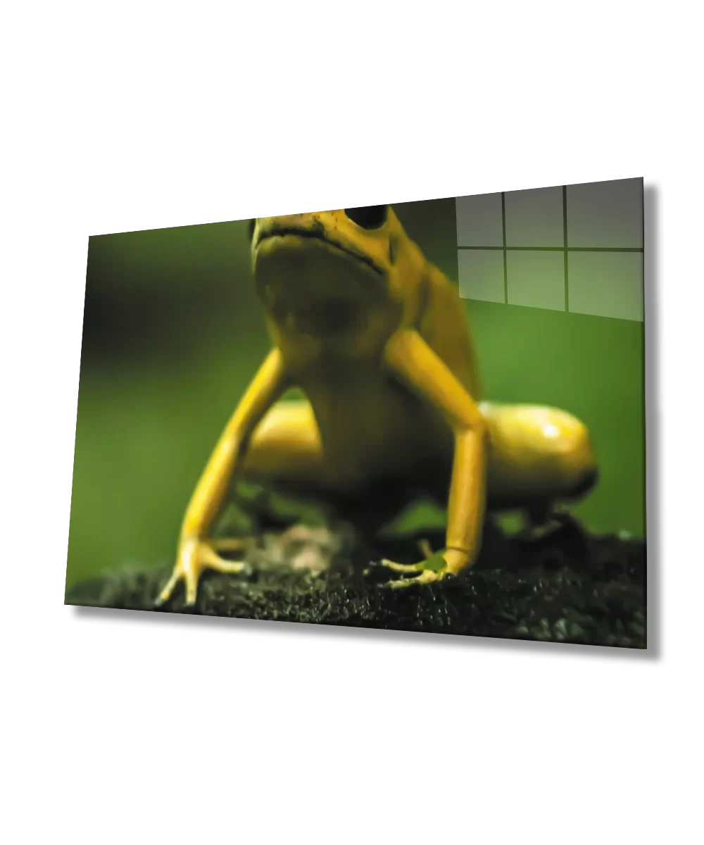 TEKNOO- Green Yellow Frog Glass Painting