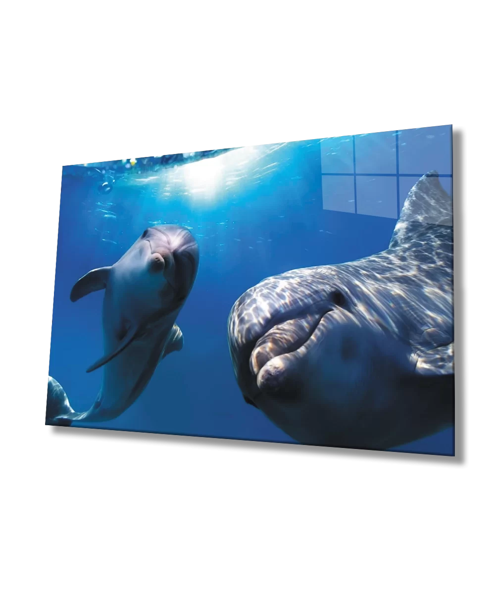 TEKNOO- Dolphin Underwater Glass Painting