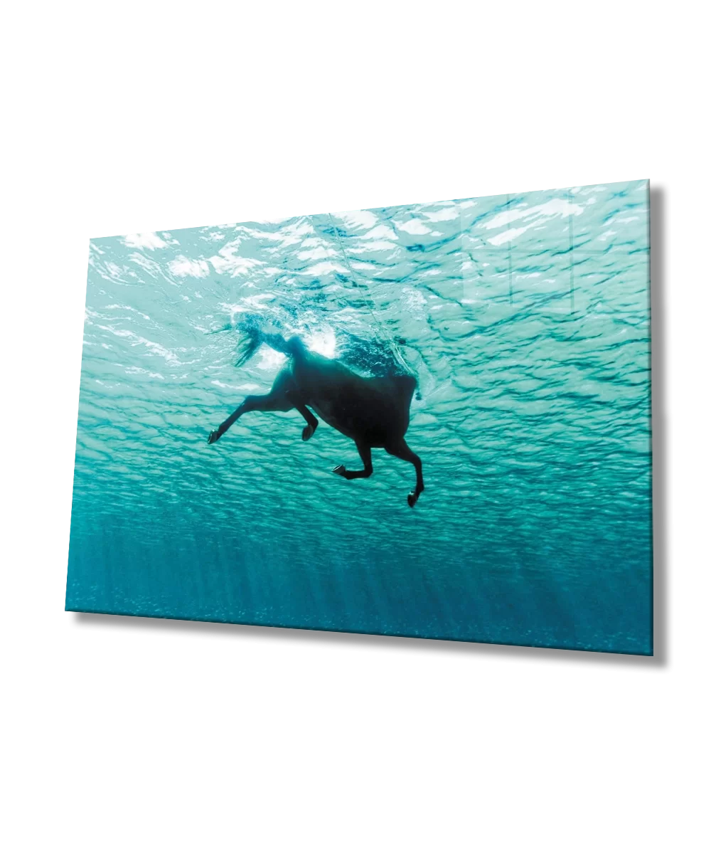 TEKNOO- Floating Horse Underwater Glass Painting