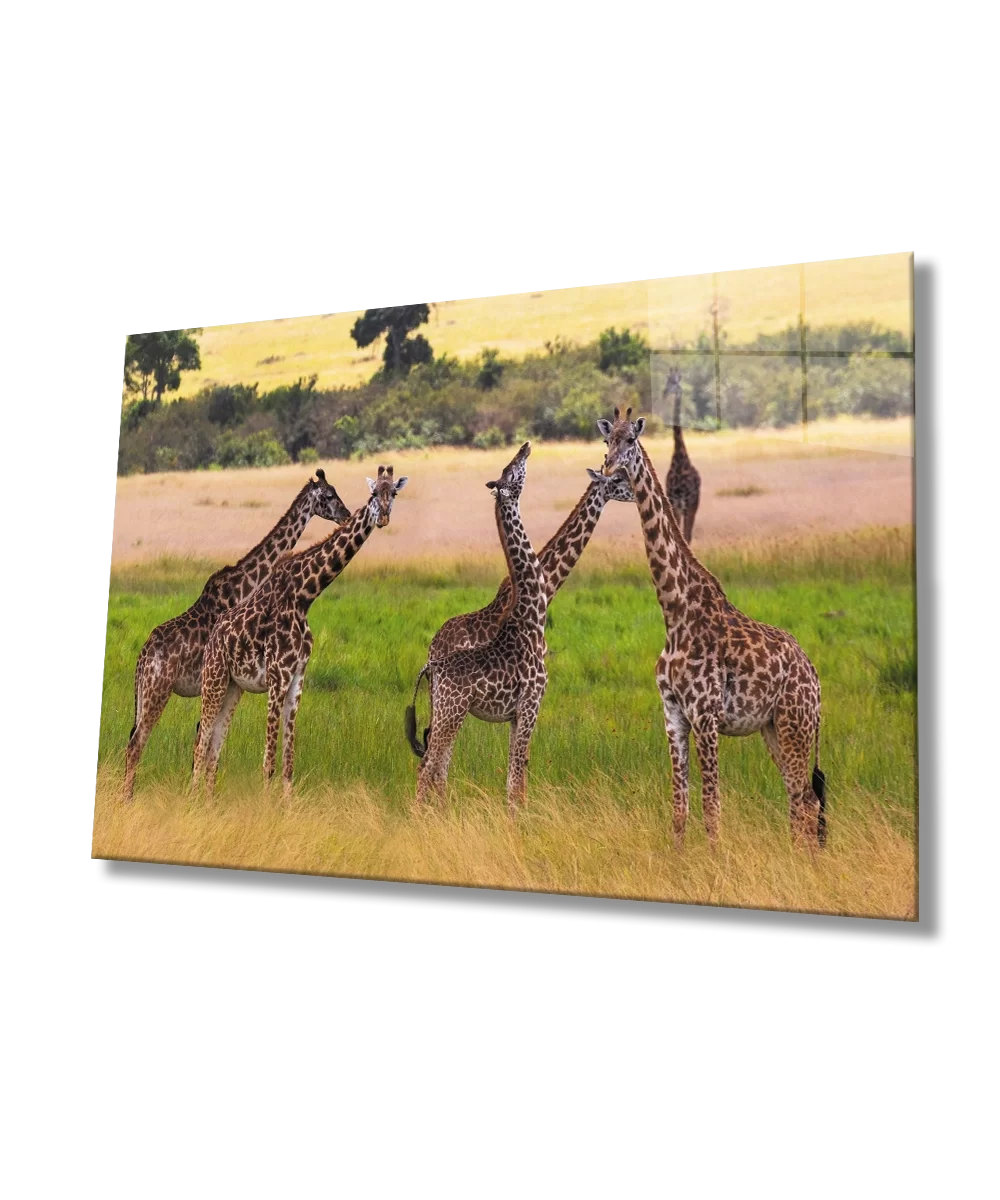 TEKNOO- Giraffe Animal Glass Painting