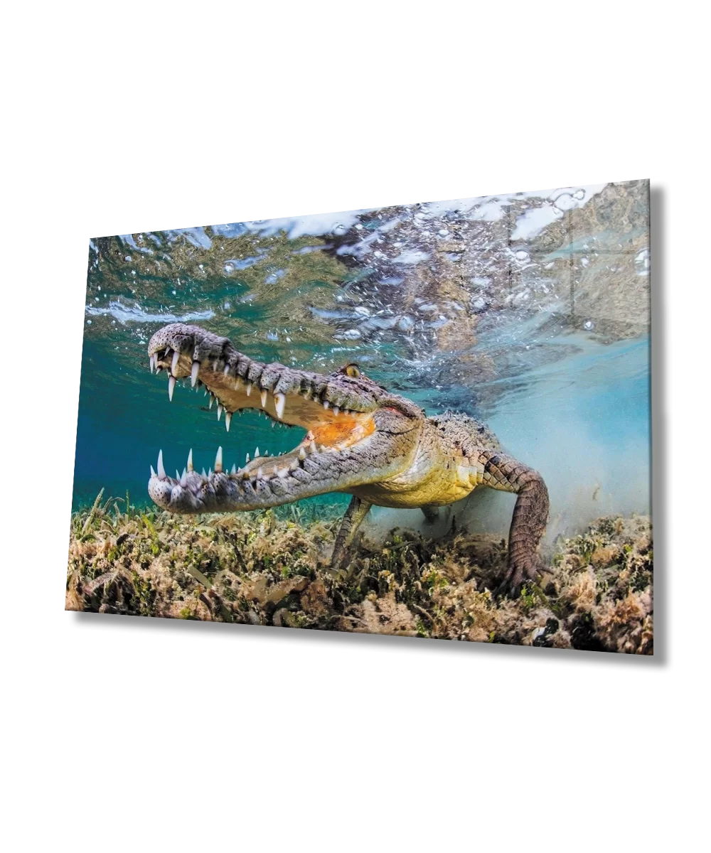 Crocodile Underwater Glass Painting