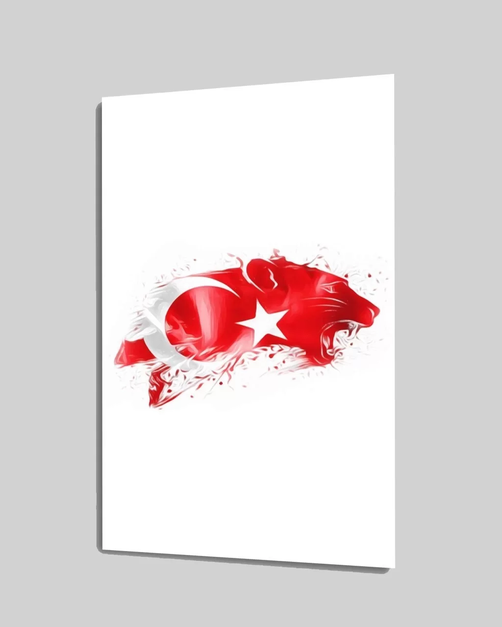 Turkish Flag and Pars Glass Painting