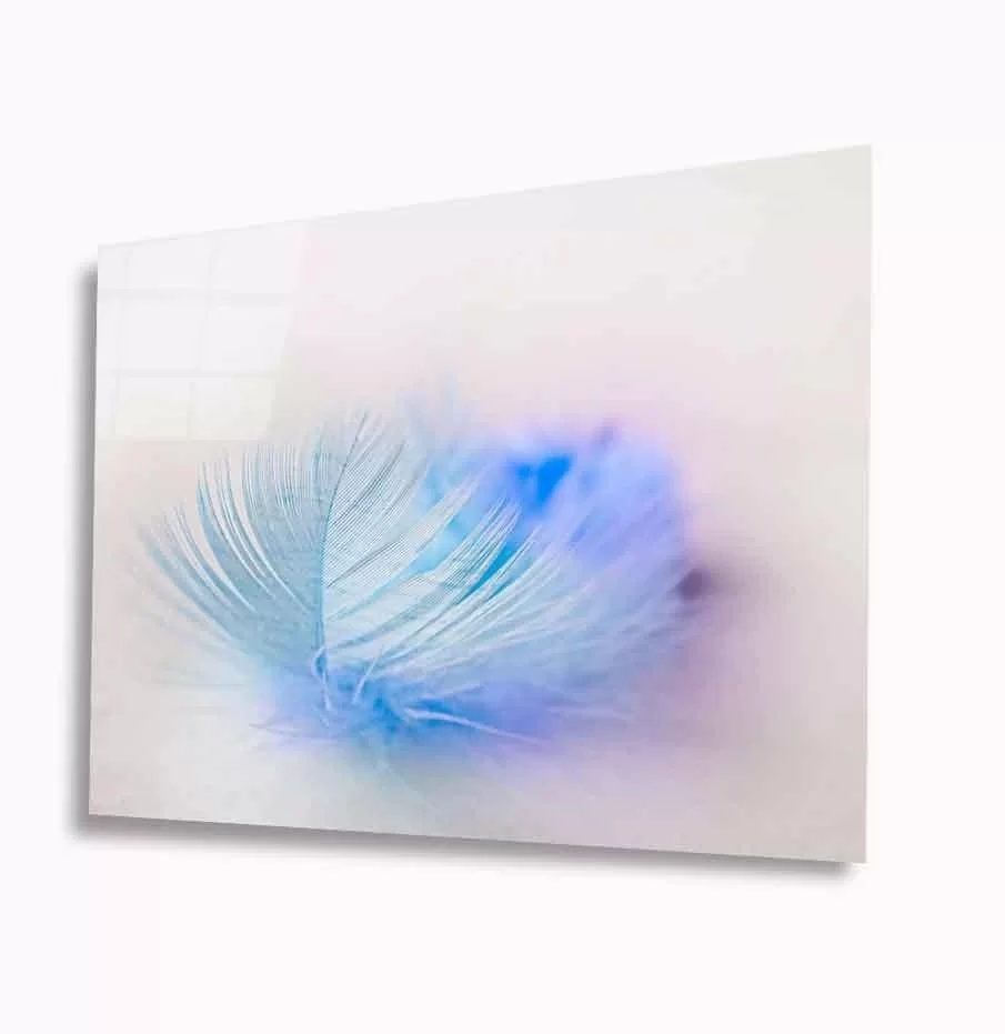 Feather Glass Painting