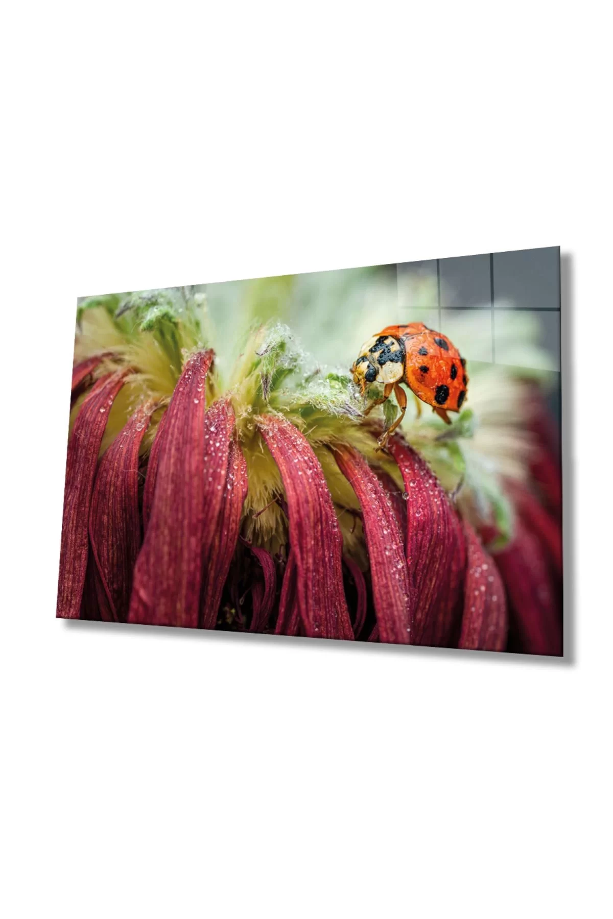 Ladybug And Leaf Glass Painting, Home And Office Wall Decoration,