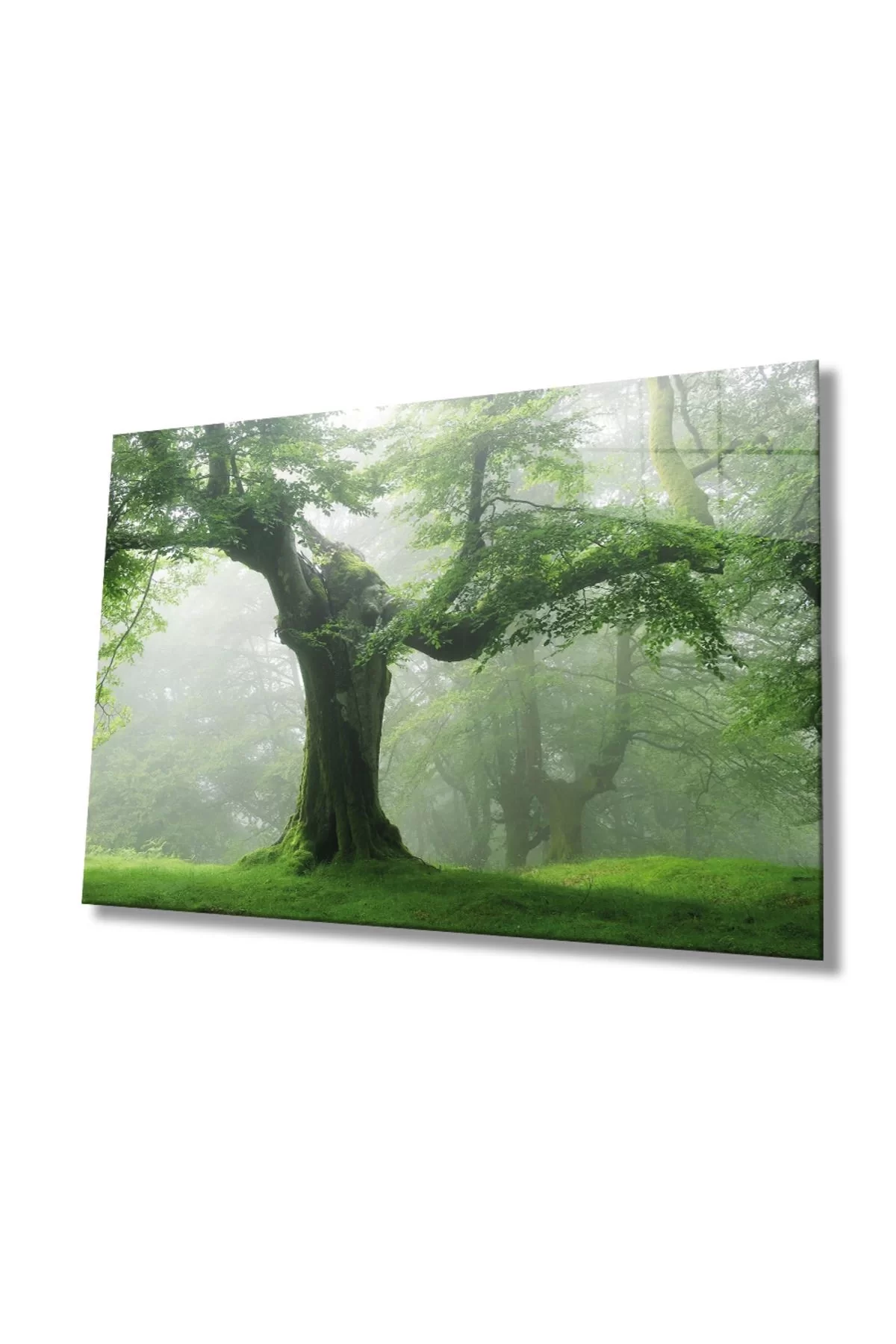 Green Tree Glass Painting, Home And Office Wall Decoration