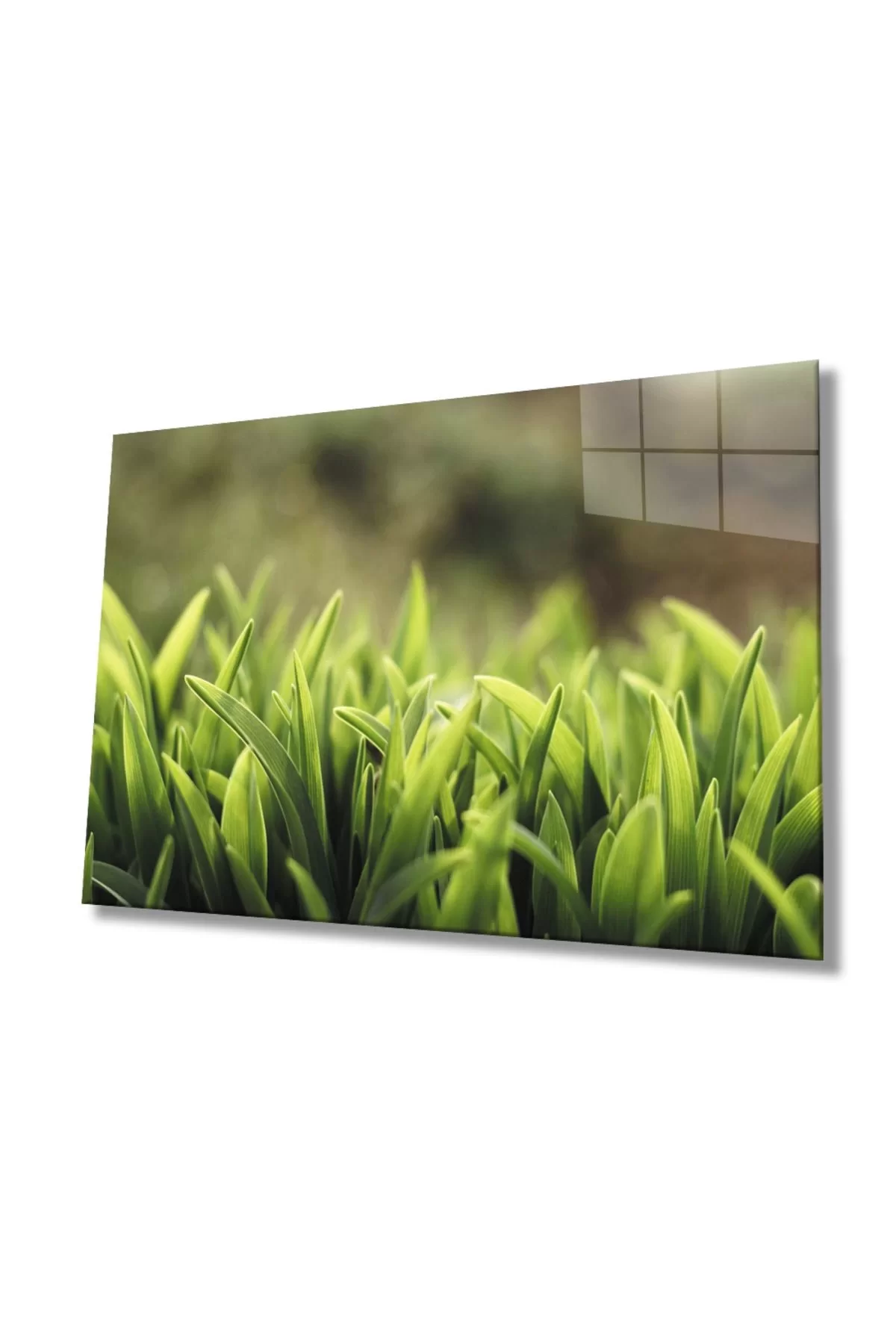 Green Leaves Glass Painting, Home And Office Wall Decoration