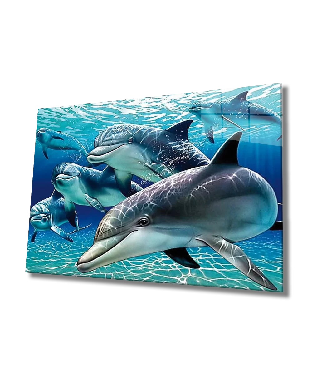 Dolphin Glass Painting Dolphin