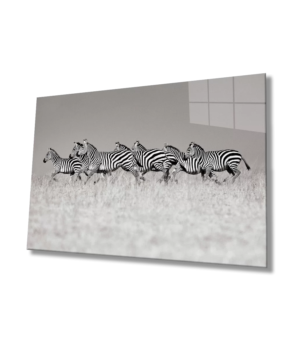 Zebra Glass Painting