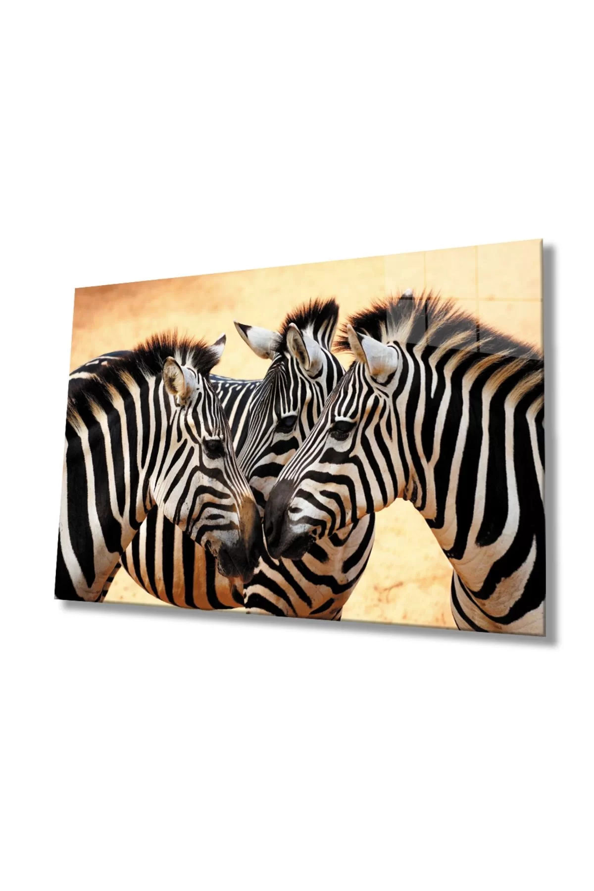 Zebra Animal Glass Table 4mm Durable Tempered Glass