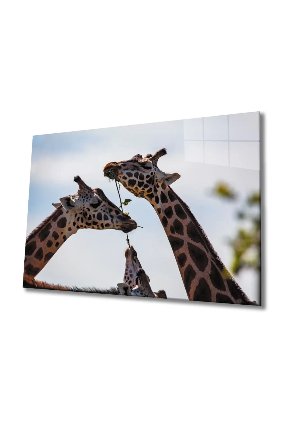 Giraffe Glass Painting