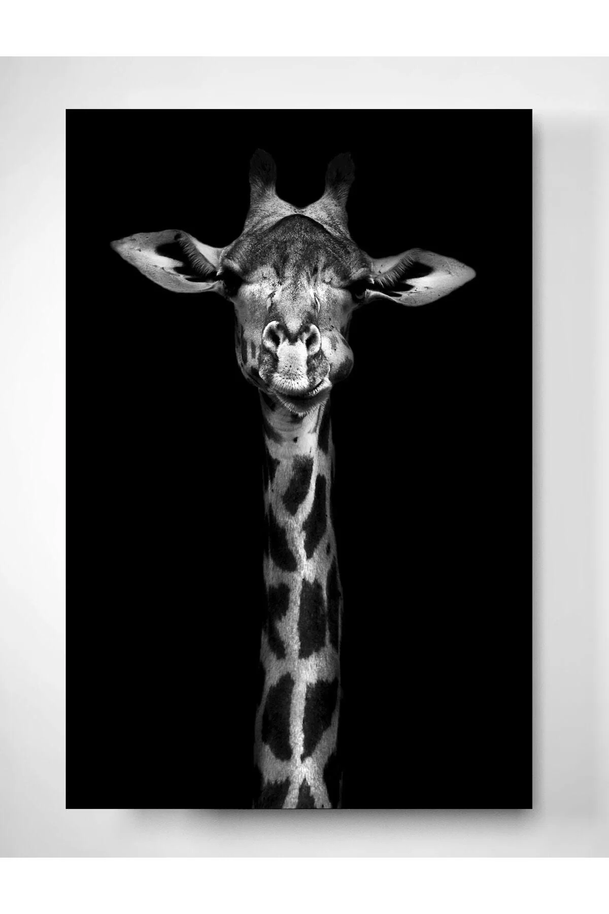 Giraffe Glass Painting