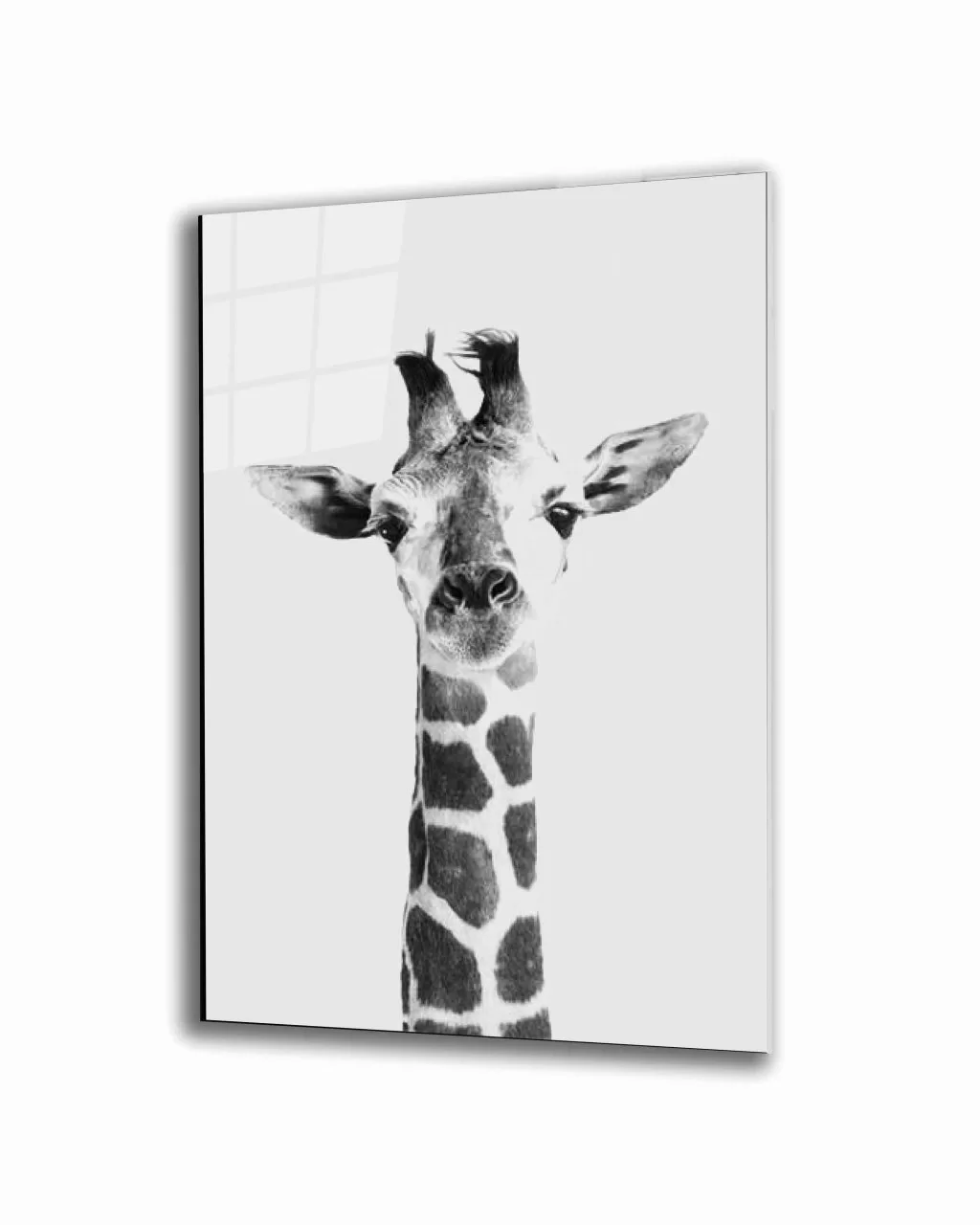 Giraffe Animal Glass Painting