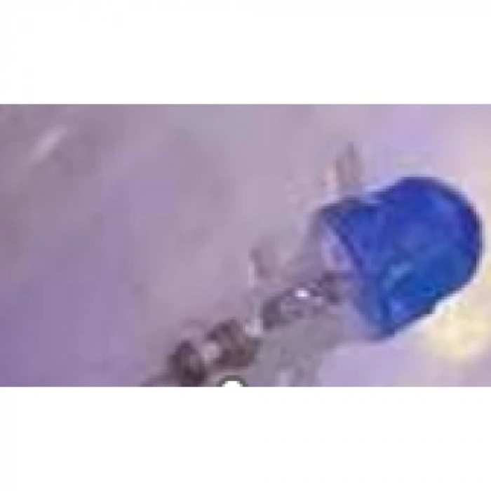 10m 100 Led Damla Uçlu Led Işık Mavi Işık Şeffaf Kablo