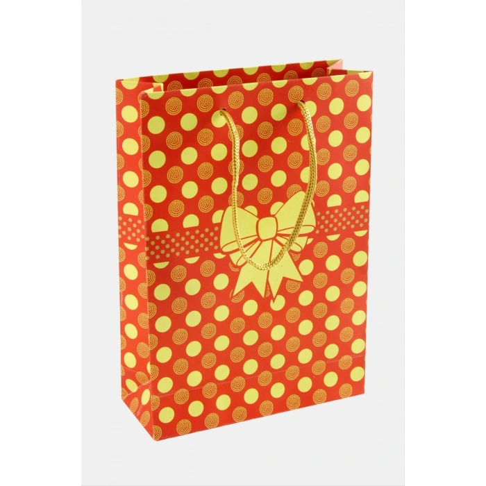 11*17 Fiyonglu İpli Karton Çanta 1 Adet